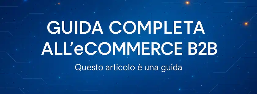 Guida Completa all'eCommerce B2B - DSI Design